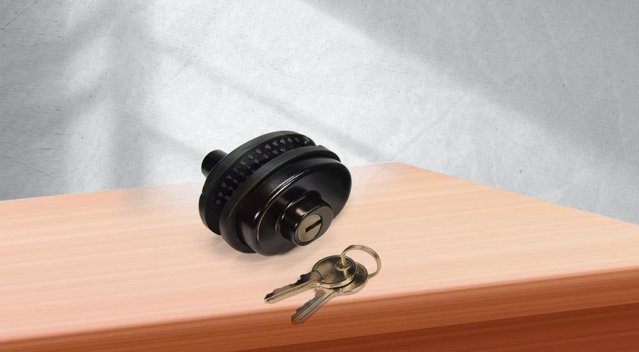 Gun Locks